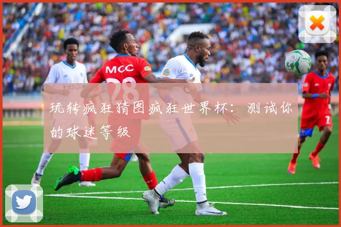 玩转疯狂猜图疯狂世界杯：测试你的球迷等级