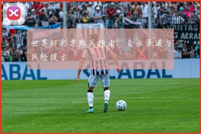 世界杯彩票购买指南:合法渠道与风险提示
