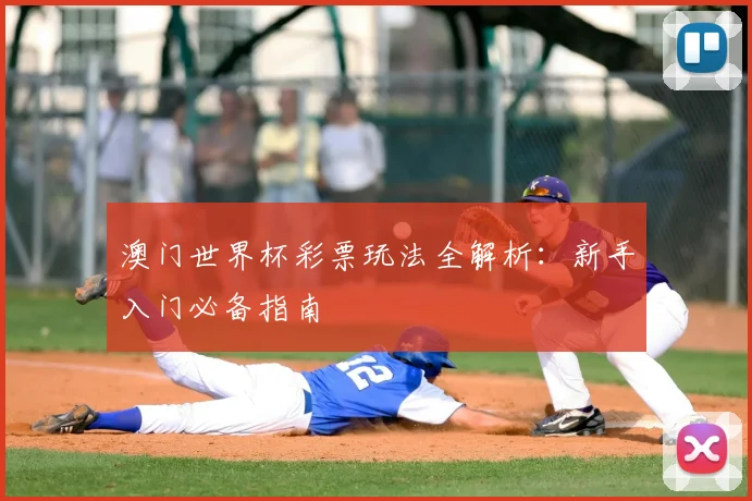 澳门世界杯彩票玩法全解析:新手入门必备指南
