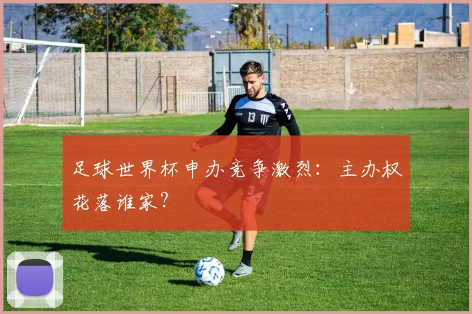 足球世界杯申办竞争激烈：主办权花落谁家？
