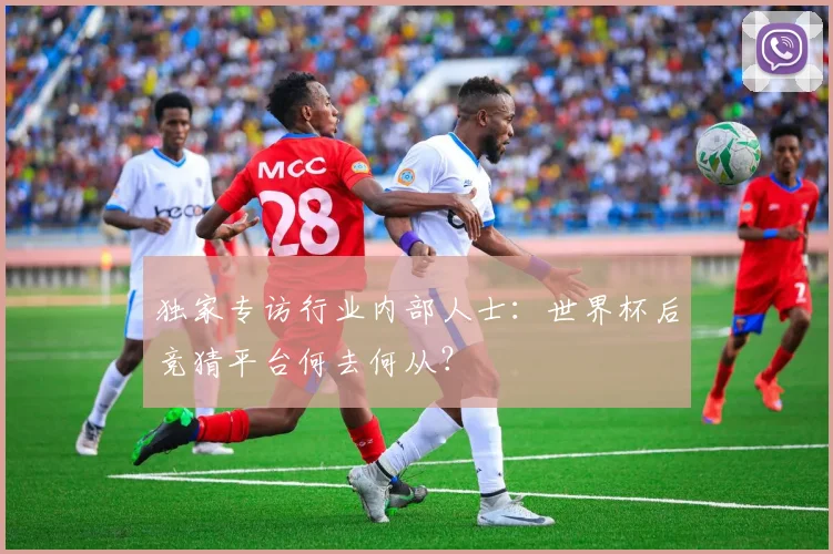 独家专访行业内部人士：世界杯后竞猜平台何去何从？