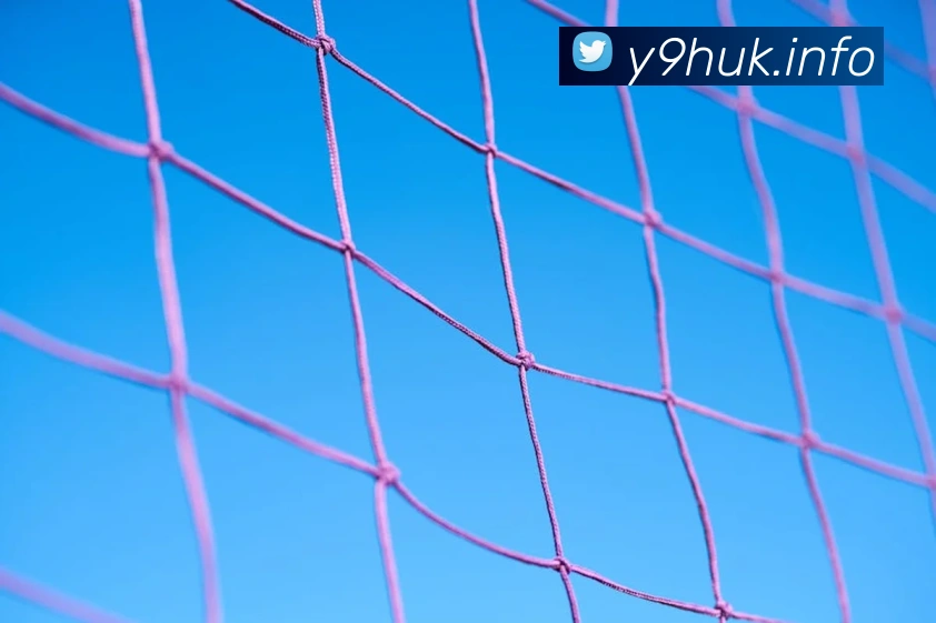 九游手机官网入口APP 封面图